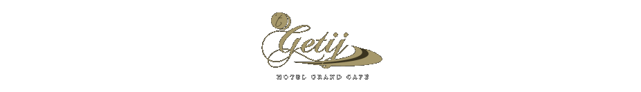  Hotel Grand Café 't Getij